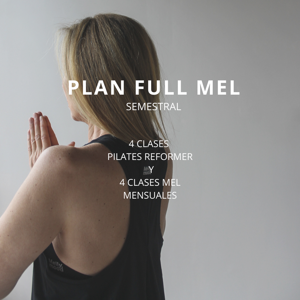 Plan FULL MEL Semestral