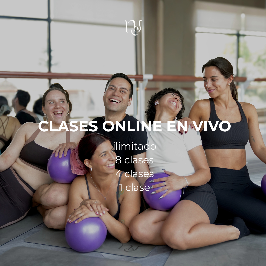 Planes Online Verano 2026 – Clases en Vivo